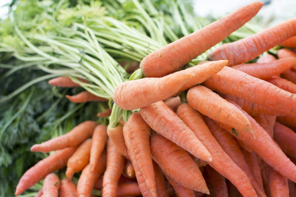 Можно ли опрыскать морковь борной кислотой?