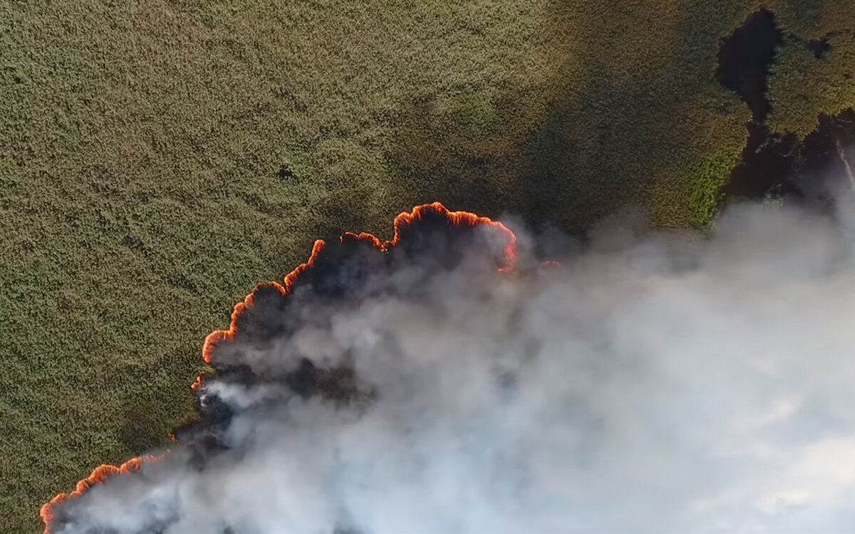Сибирская тайга всё ещё горит