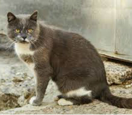 Отказ от питания