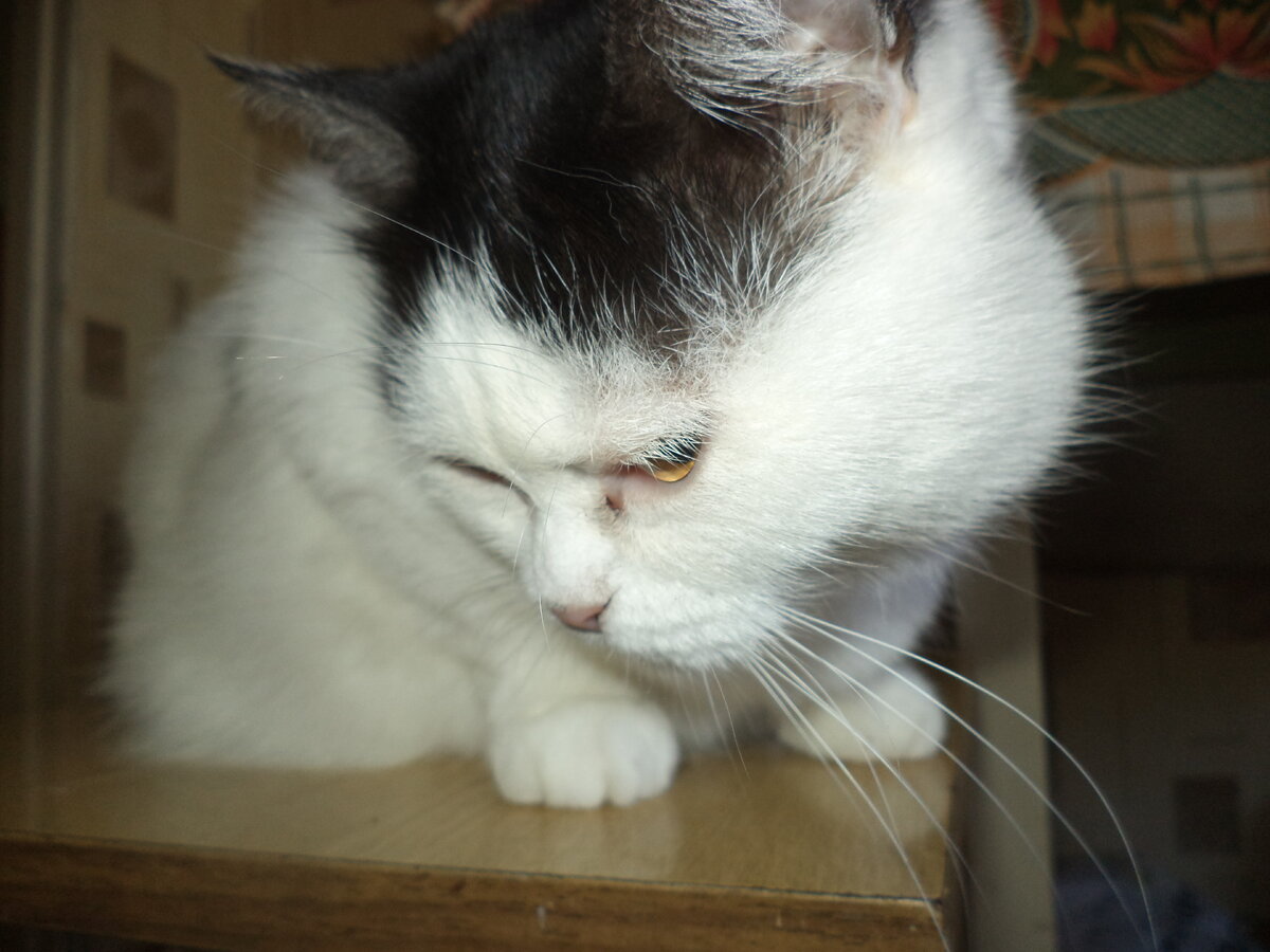 Генералиссимус Лота: "Звание у меня суровое, а душа - нежная, как цветок"