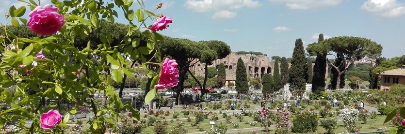 Римский розарий. Фото: Roma Giardini