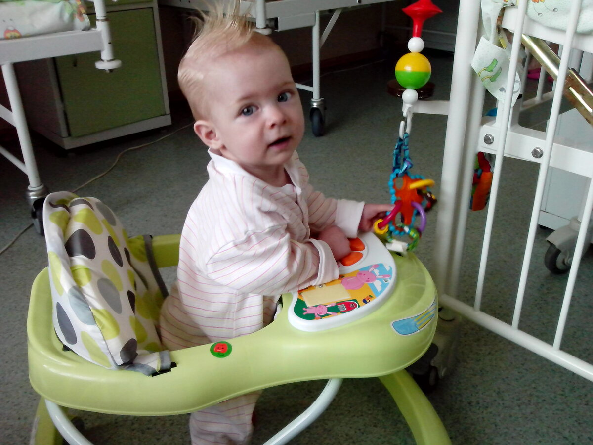 21.05.2013 8 утра. Голодная Таська перед операцией зондирования сердца и сосудов.