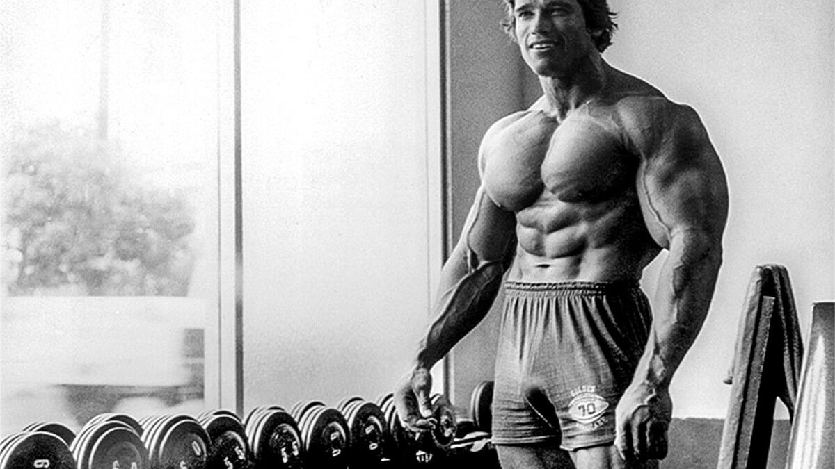 Фото со свободного источника. 