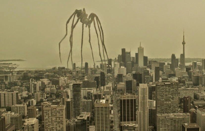 фото взято из открытых источников.