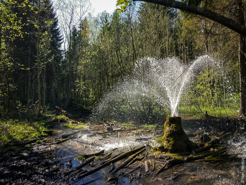 Гейзер Пень