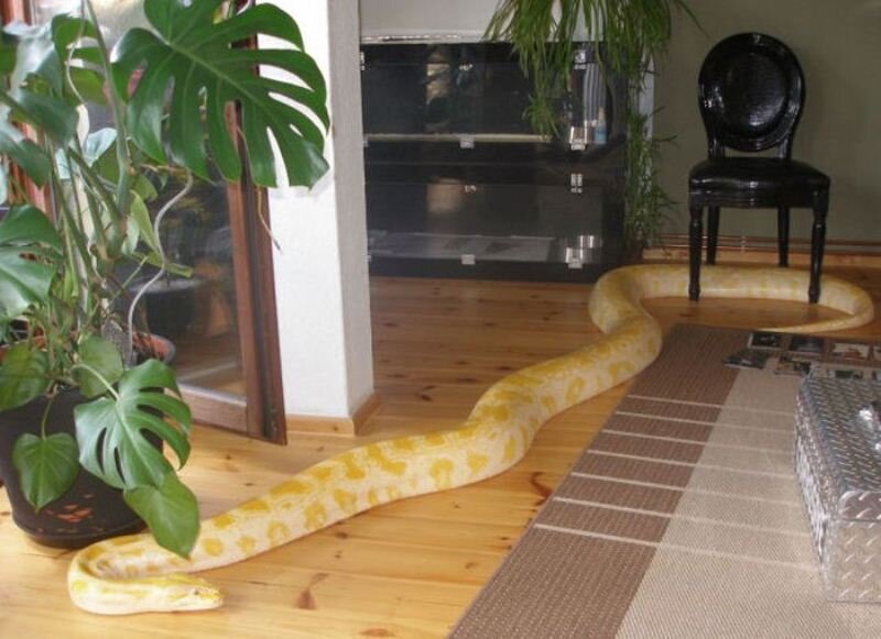 banana.by