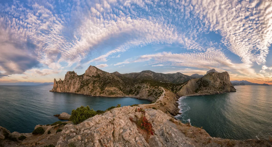 Фотография взята из открытого источника в интернете