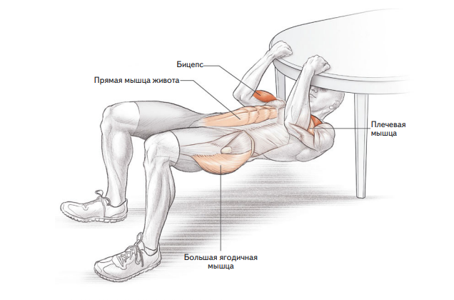 Брет контрерас упражнения. Contreras Bret Bodyweight exercises.