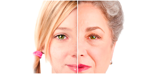 Источник «Meddoc»