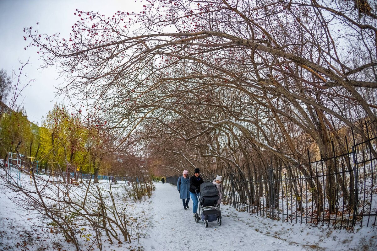 В выходные в Челябинске выпал первый снег. Фото Олега Каргаполова (Вечерний Челябинск)