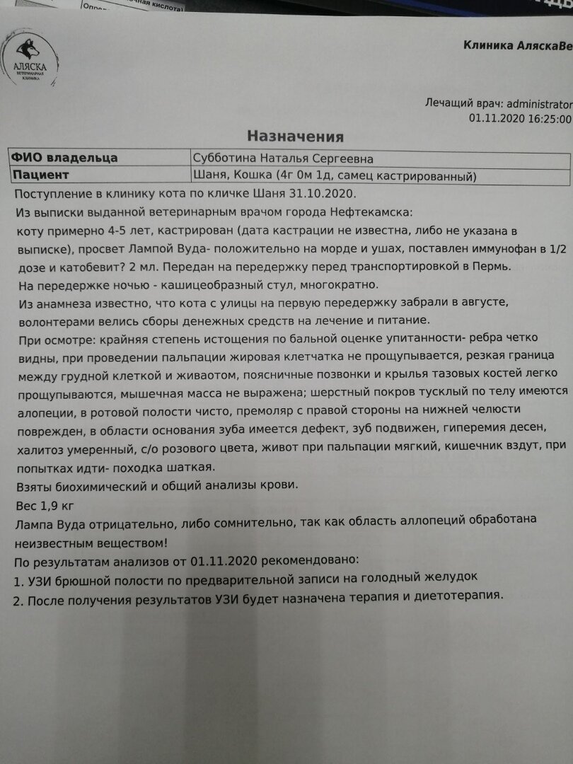 Заключение врача после первичного осмотра