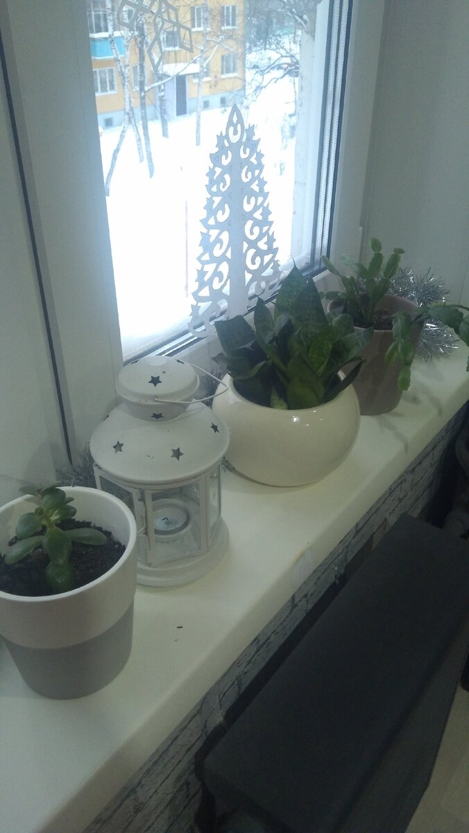 Мой подоконник