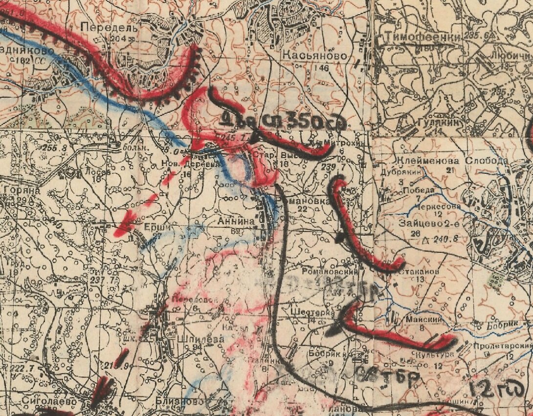 Линия фронта у деревни Аннина к началу июля 1942 г.