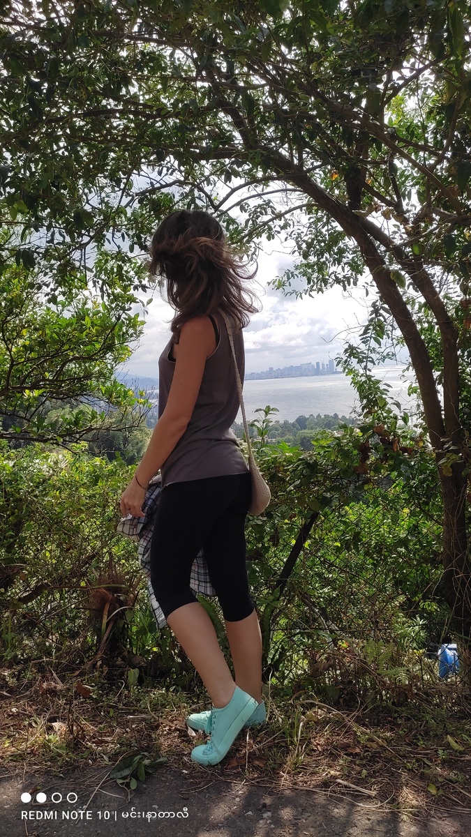 Батуми с Ботанического сада