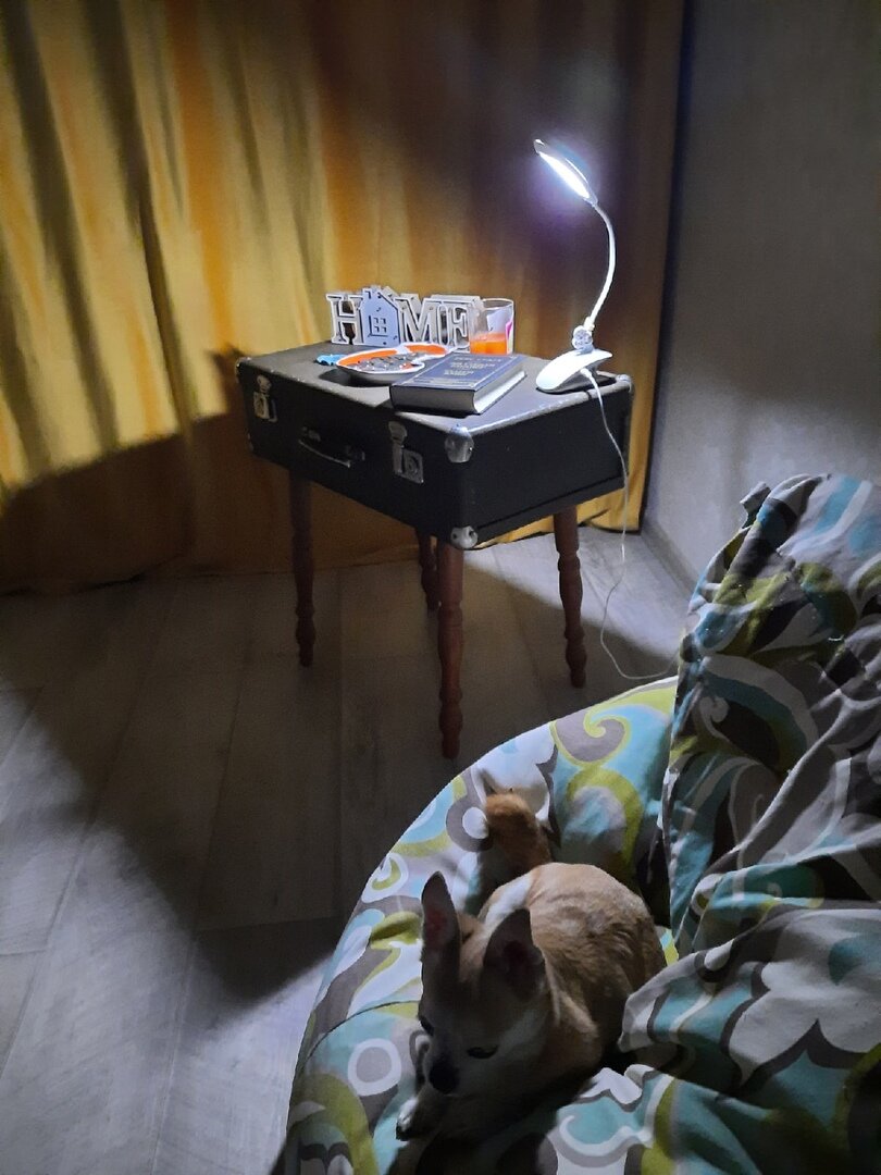 Новая жизнь чемодана