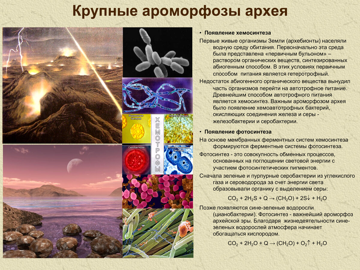 рабочая программа пасечник биология 5-9 класс. линия умк сивоглазов биология. биология 9 класс пасечник дрофа. биология программа. концентрическая линия учебников по биологии.