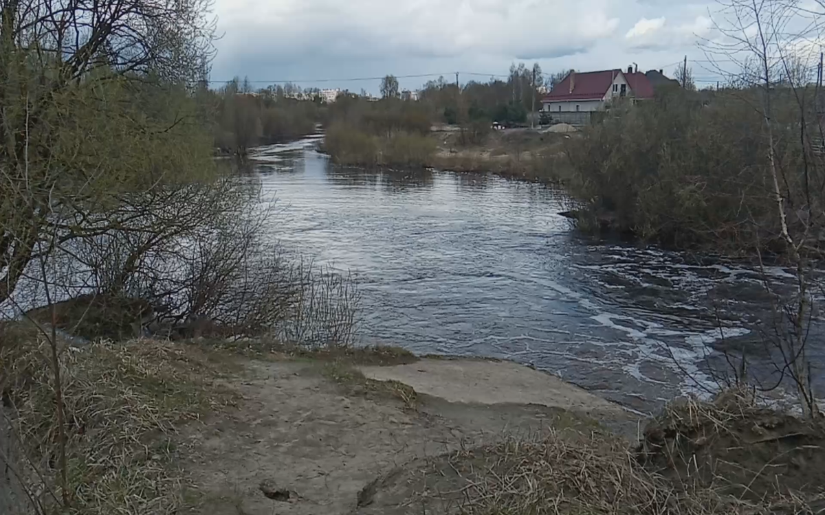 Маленькие речки с быстрым течением, любимые места обитания голавля. 