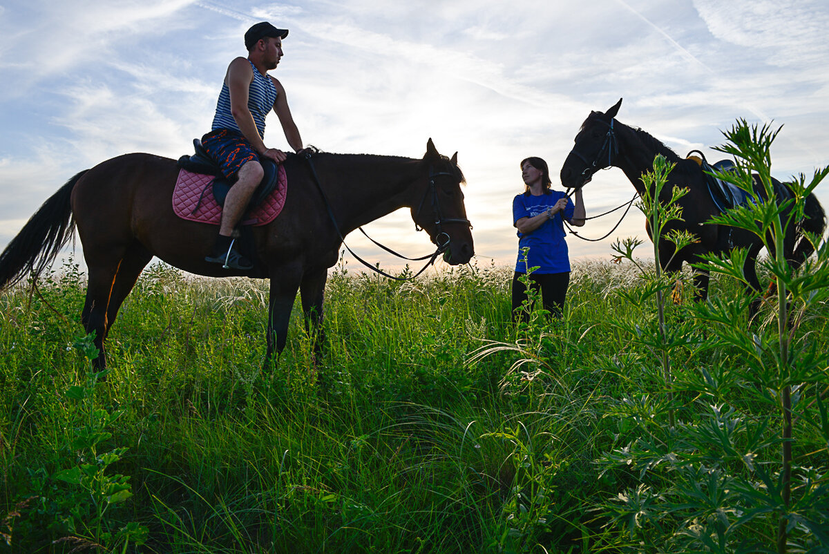 Хорошо верхом на лошади прогуляться по степи!
