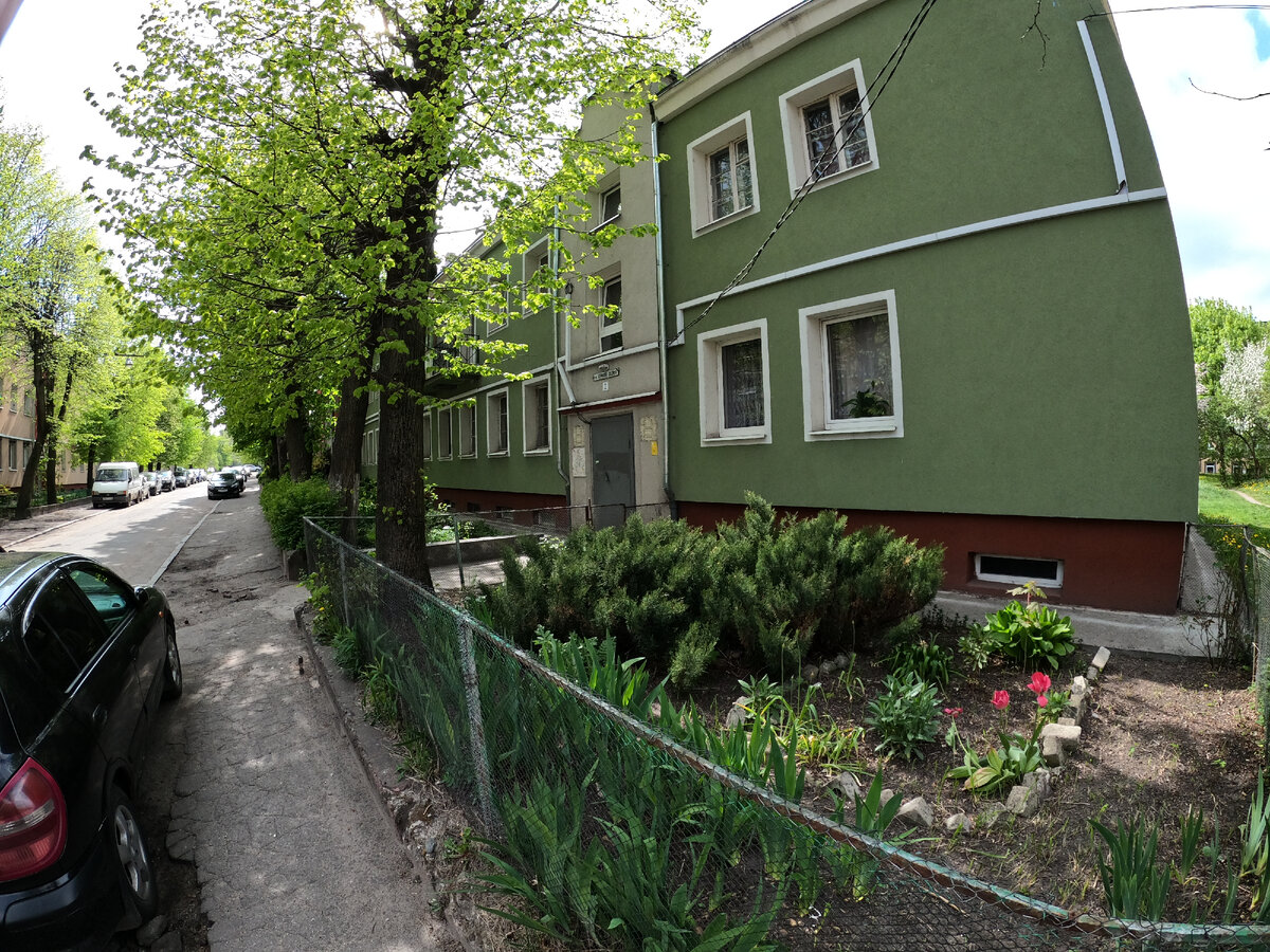 Полисадник на улице в Калининграде