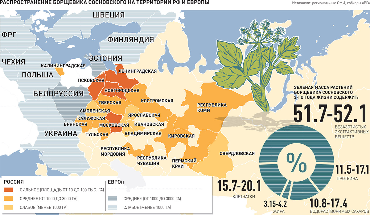 Рецепт, как возродить животноводство в России и победить борщевик