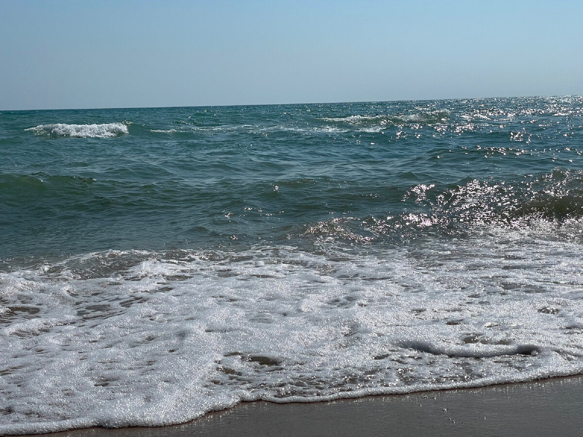 Подписывайтесь на мой канал где я публикую самые интересные материалы по психологии!