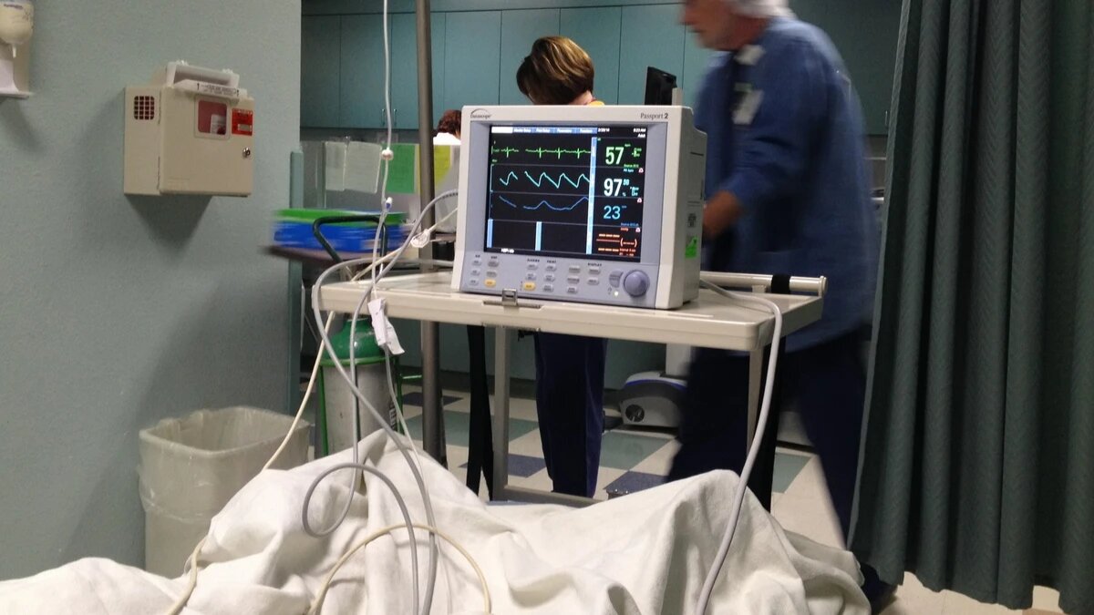 Фото: pxhere.com