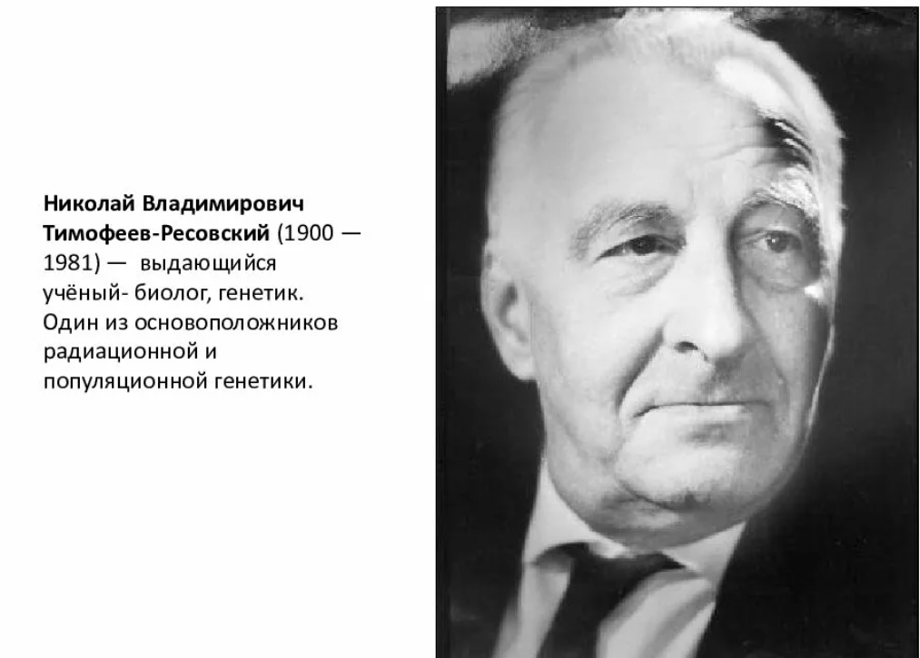 Источник фото - https://showslide.ru/novosibirskij-gosudarstvennij-universitet-fakultet-estestvennikh-nauk-istoriya-86603