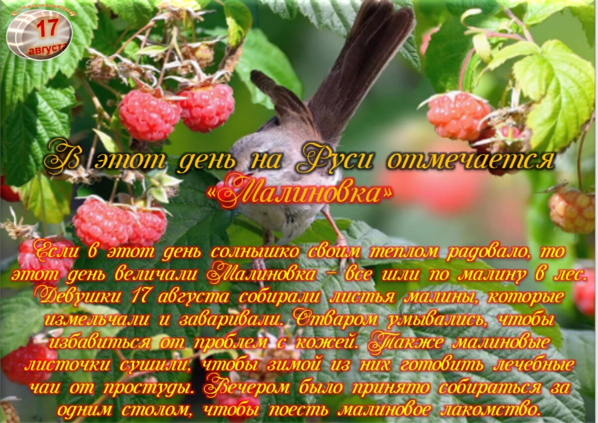 17 августа - Приметы, обычаи и ритуалы, традиции и поверья дня. Все  праздники дня во всех календарях. | Сергей Чарковский Все праздники | Дзен