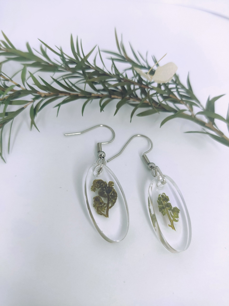 Серёжки с ростками папоротника