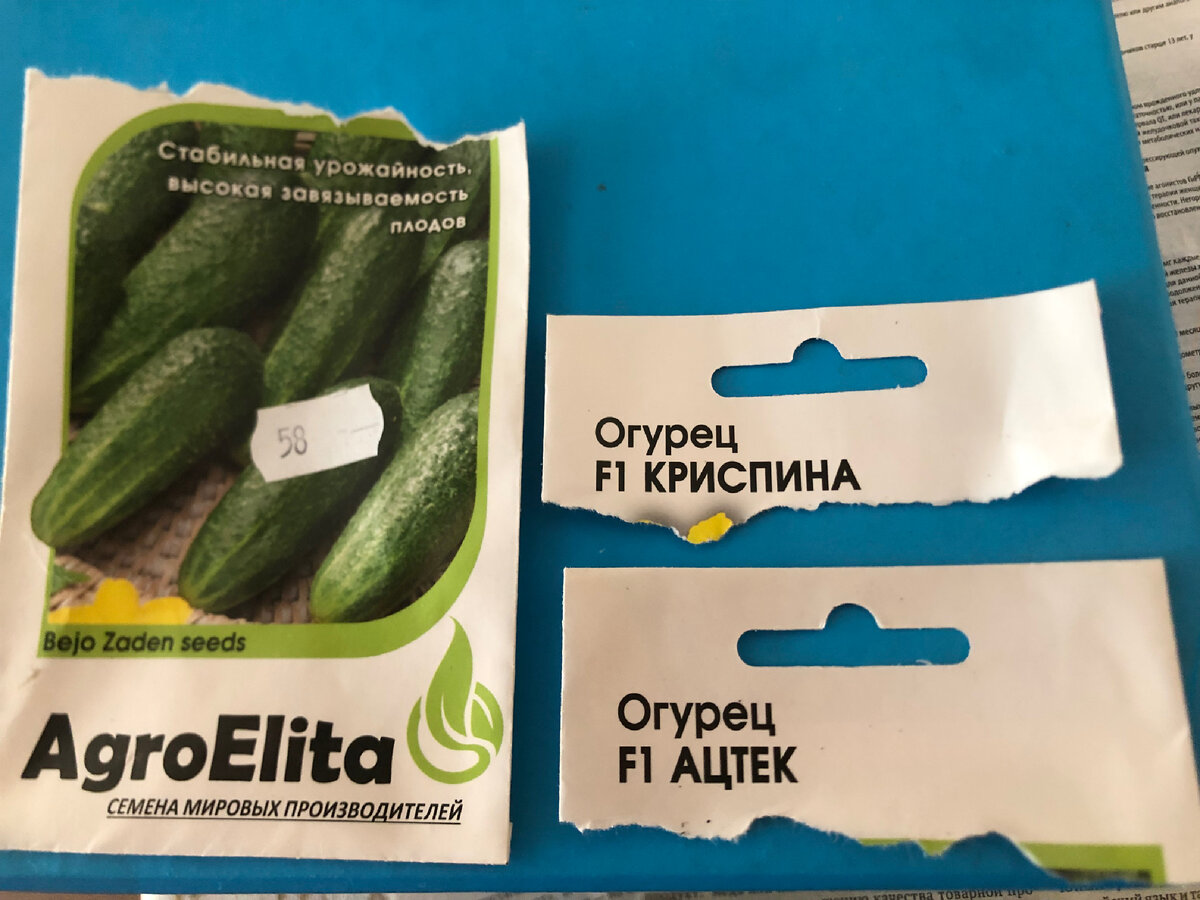 Этим летом сажала сорта "Криспина", "Ацтек" и несколько других. Иллюстрации к статье автора.