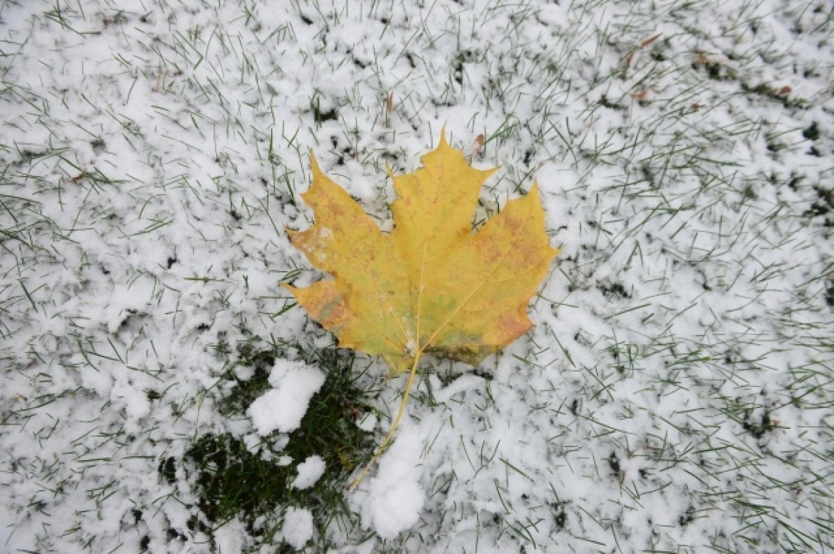    Названа возможная дата первого снегопада в Новосибирске в 2023 году