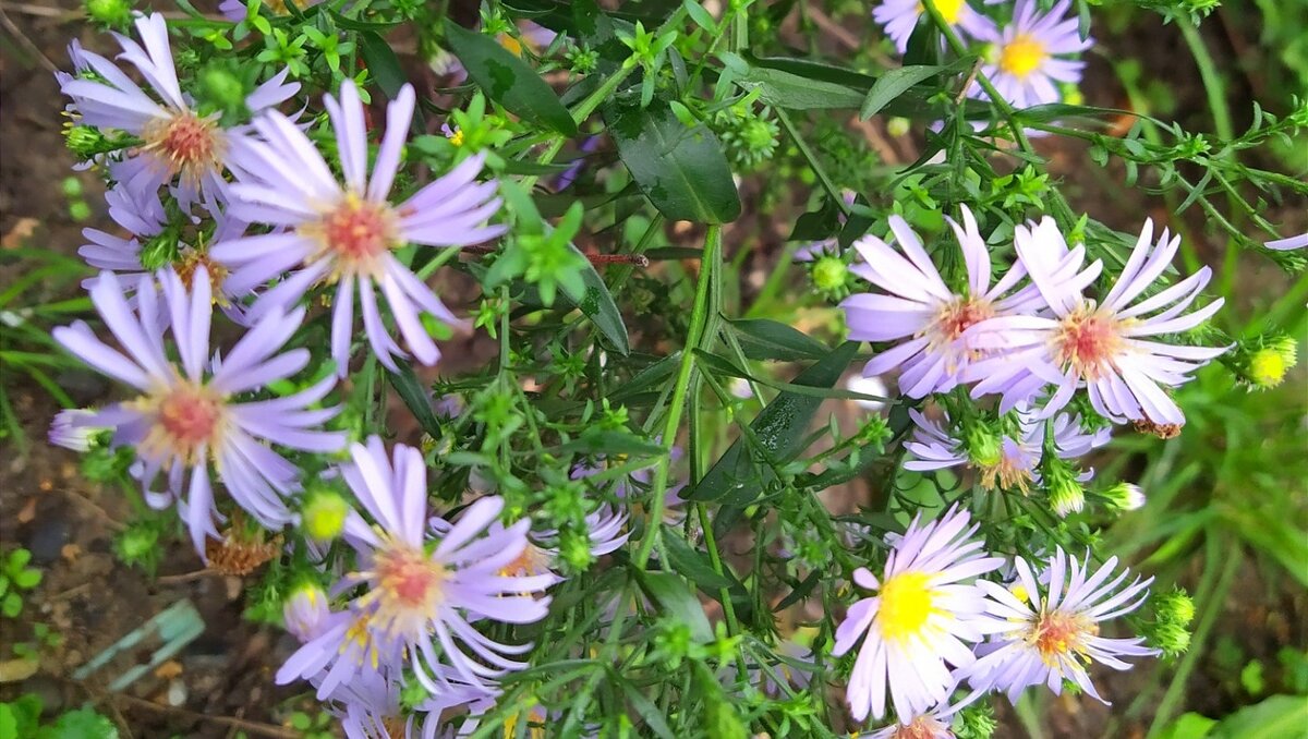     Граждане будут смотреть кино, кто художественные фильмы, а кто и документальные. Кто пойдет в кинотеатры, те, кто постарше для просмотра воспользуются телевизором, а то, кто пограмотнее, будут искать документалистику на канале Youtube. Сегодня День российского кино.