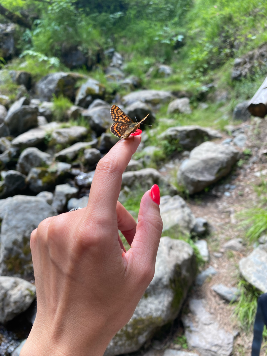 Бабочки облепили меня и мой рюкзак