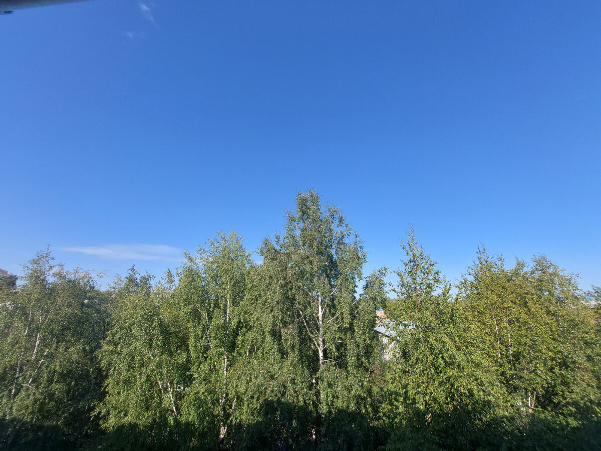 Ослепительно голубое небо и солнце! Вид из окна.