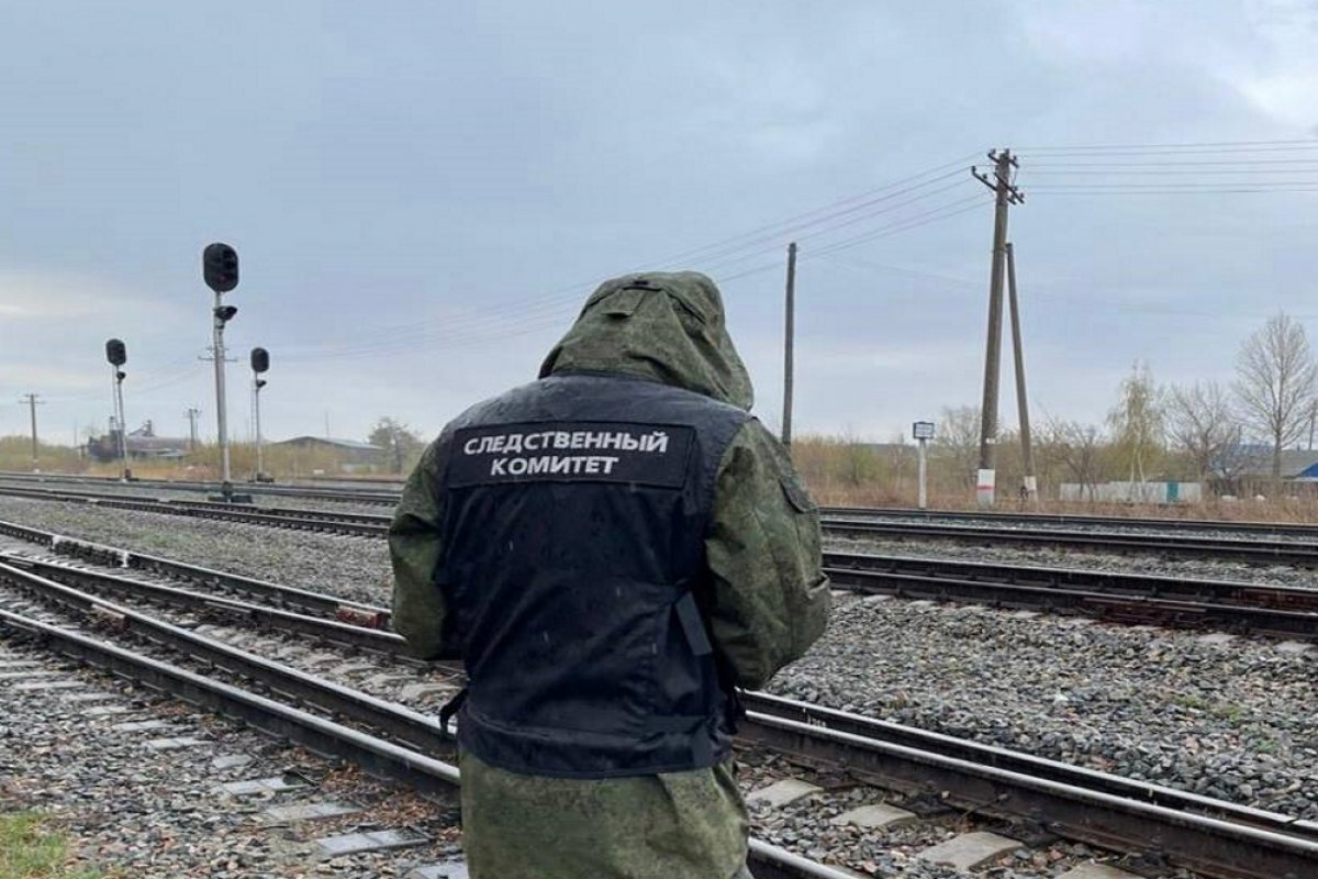    Сотрудникам СК начнут выплачивать компенсации за ранения в зоне СВО