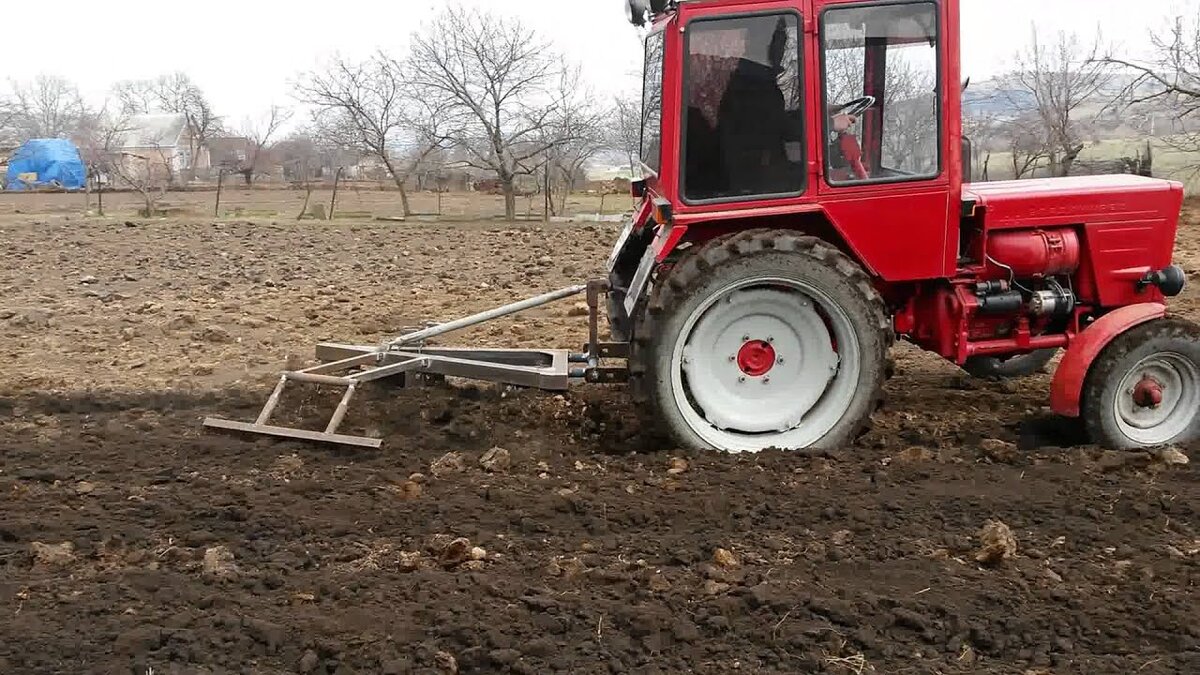 Фото из Яндекс Картинок