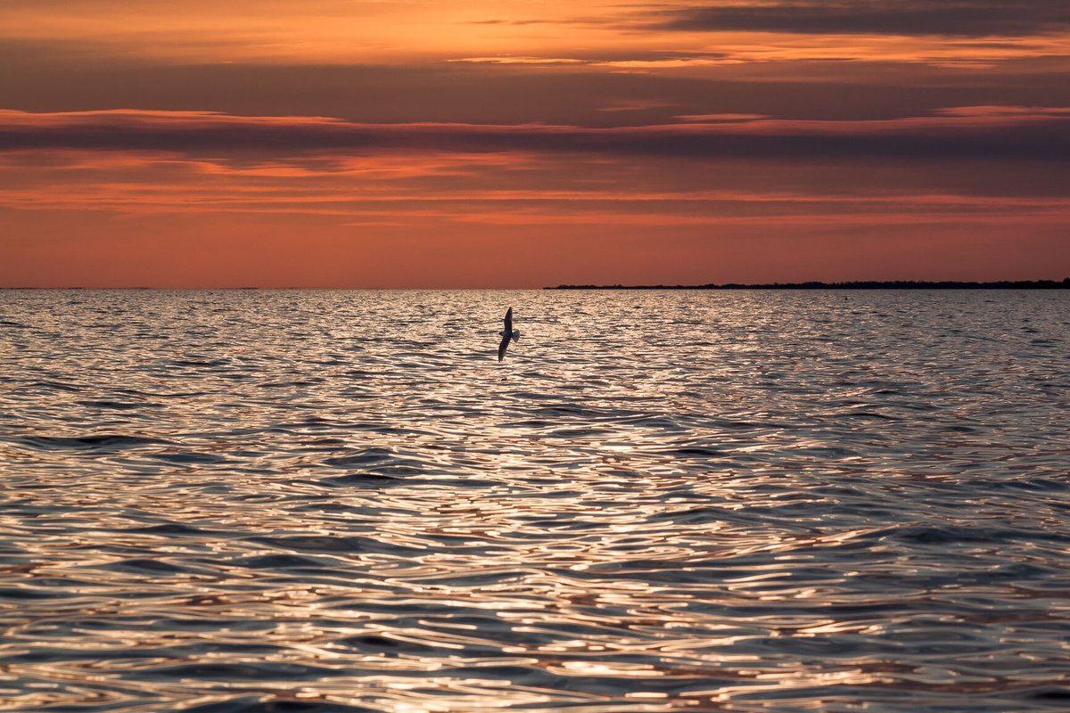 Море видное. Я хочу быть морем. Море сон спб. Картинки на аву море. Зеленое море под серым небом.