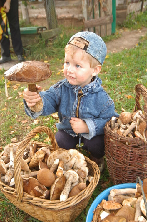 Фото найдено в интернете