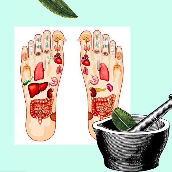 Проекции внутренних органов на стопах человека.