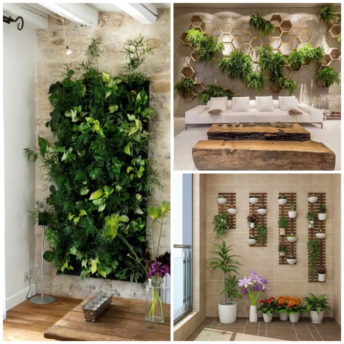 Декорирование стены комнатными растениями с потолочным, естественным и дизайнерскими освещением