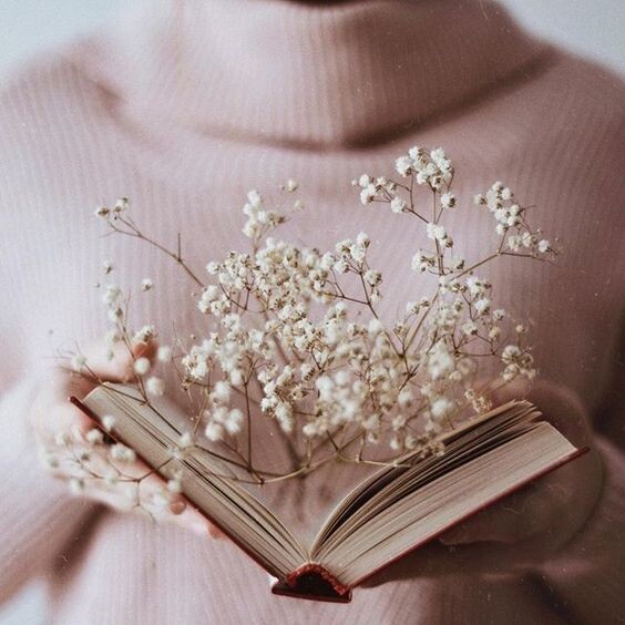 Поговорим о книгах