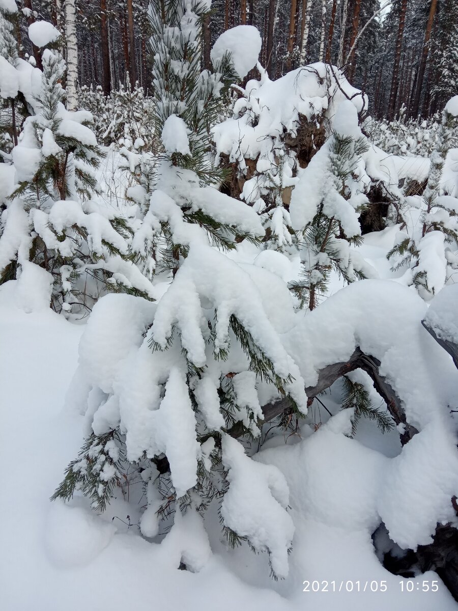 Красота вокруг