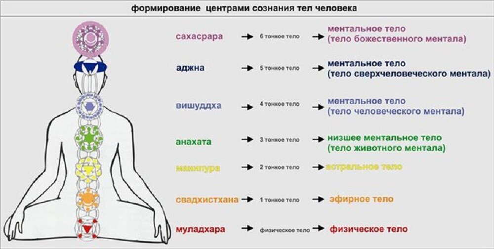 Энергетические центры человека чакры и тонкие тела. Тонкие тела человека и чакры. Строение чакр и тонких тел. Расположение тонких тел человека.