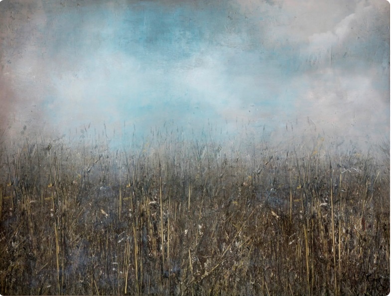 Купер. Трава. 2016.