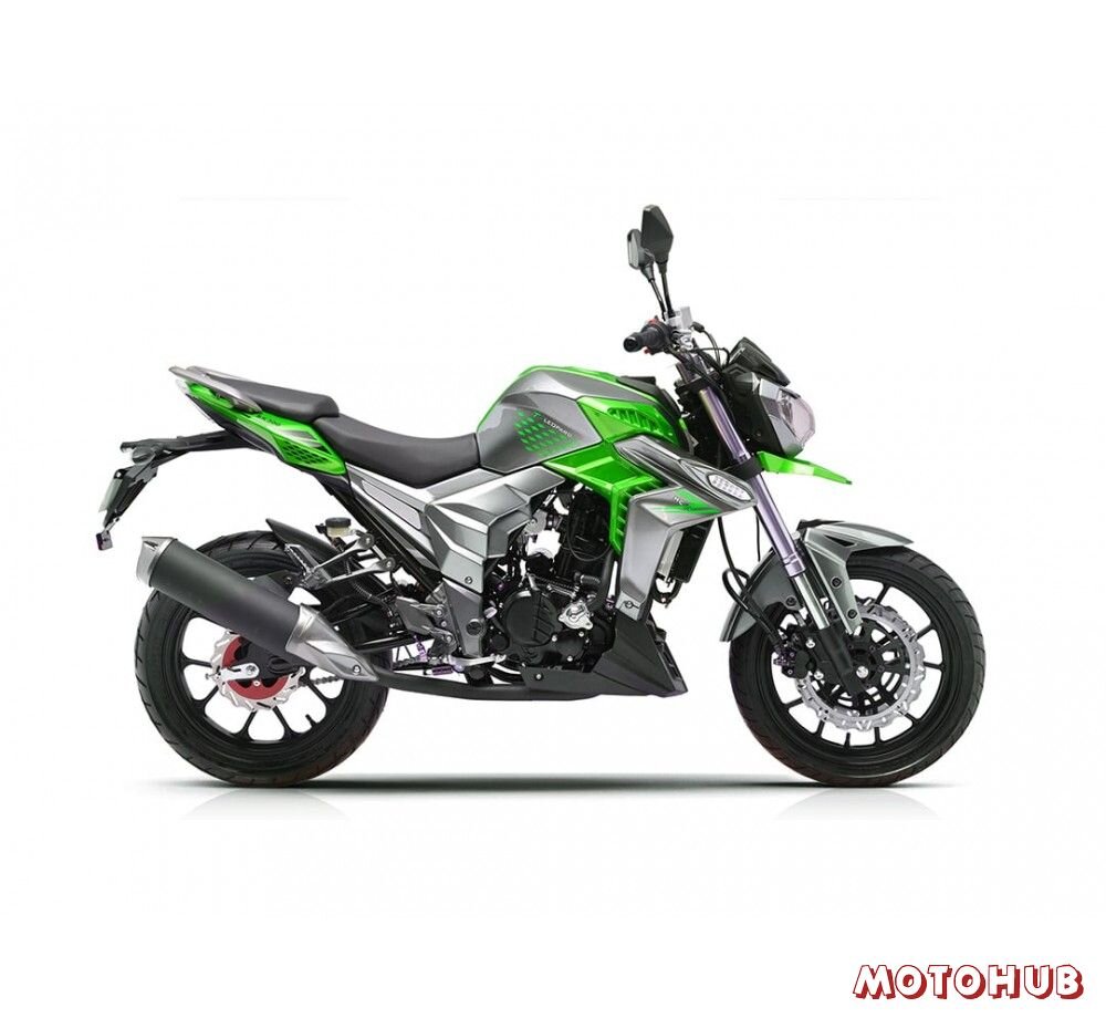 Regulmoto T-Leopard 300