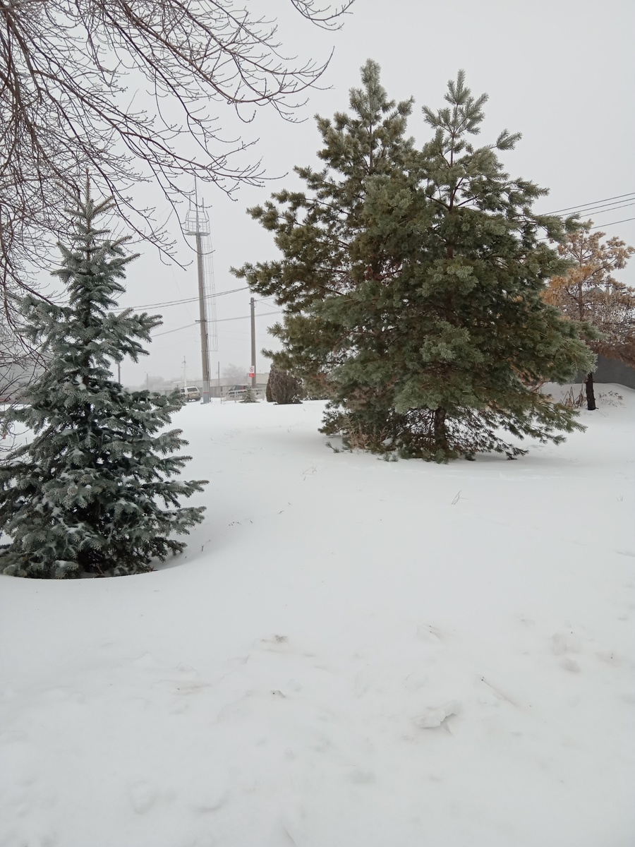 а вокруг февральская зима