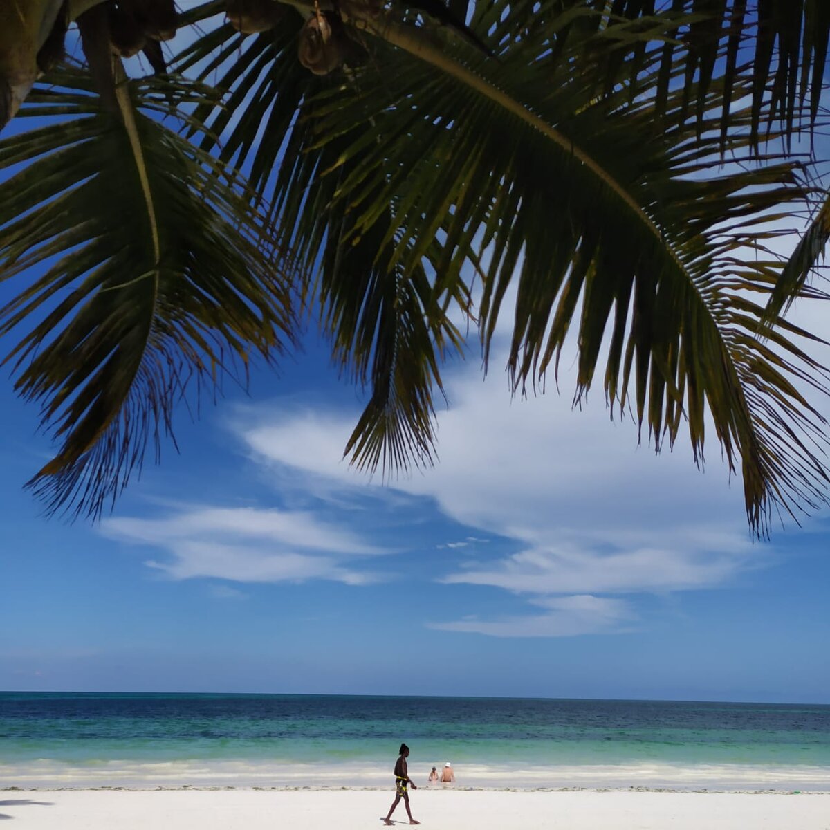 Пляж отеля VOI KIWENGWA 4* открылся в ноябре 2020. Вл время пандемии был закрыт.