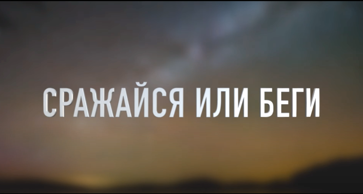 Изображение из открытого источника