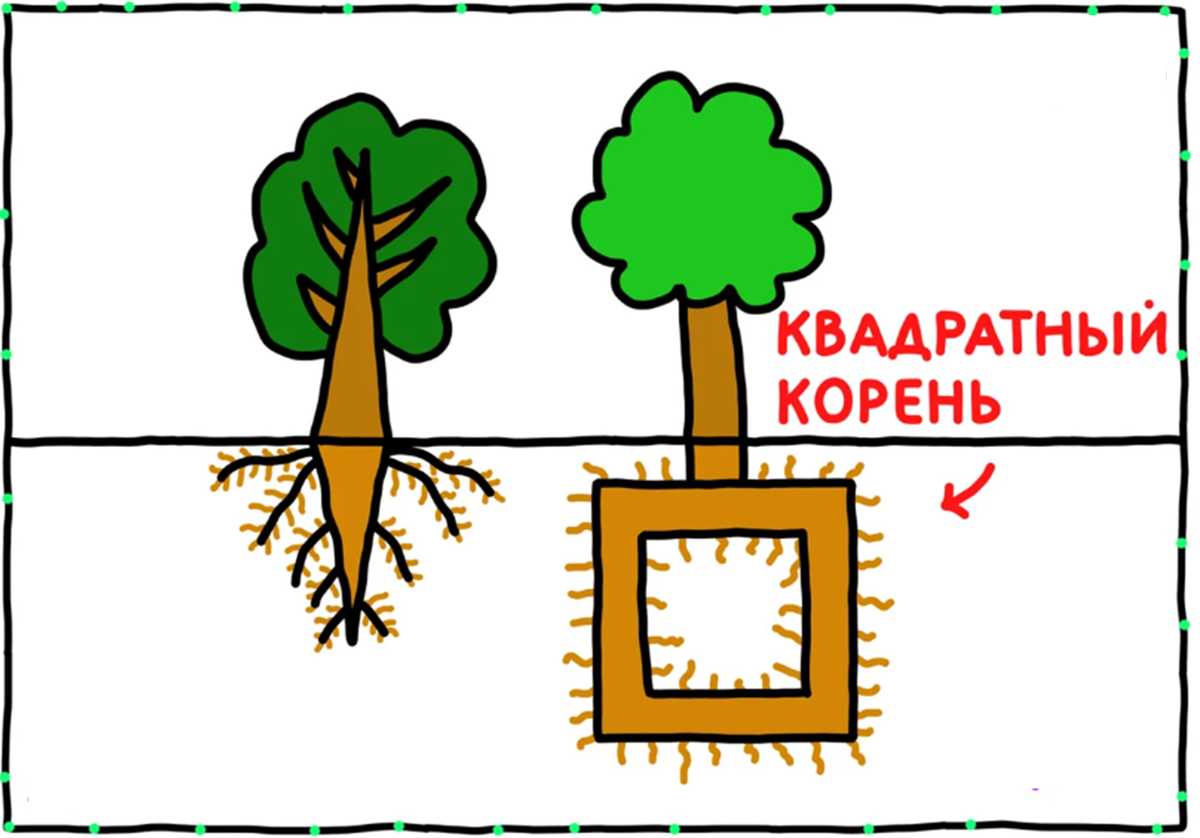 Квадратный корень дерева