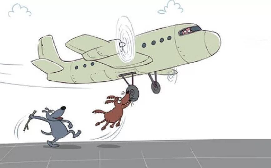 Рисунок из свободных источников